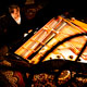 1200_GuyVanNueten_LeBotanique_004.jpg